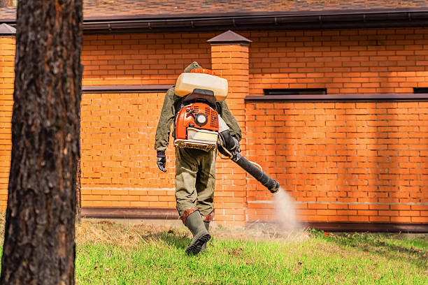 Trusted Mosquito Control service in Pine Ridge, PA - Nex Pest Control